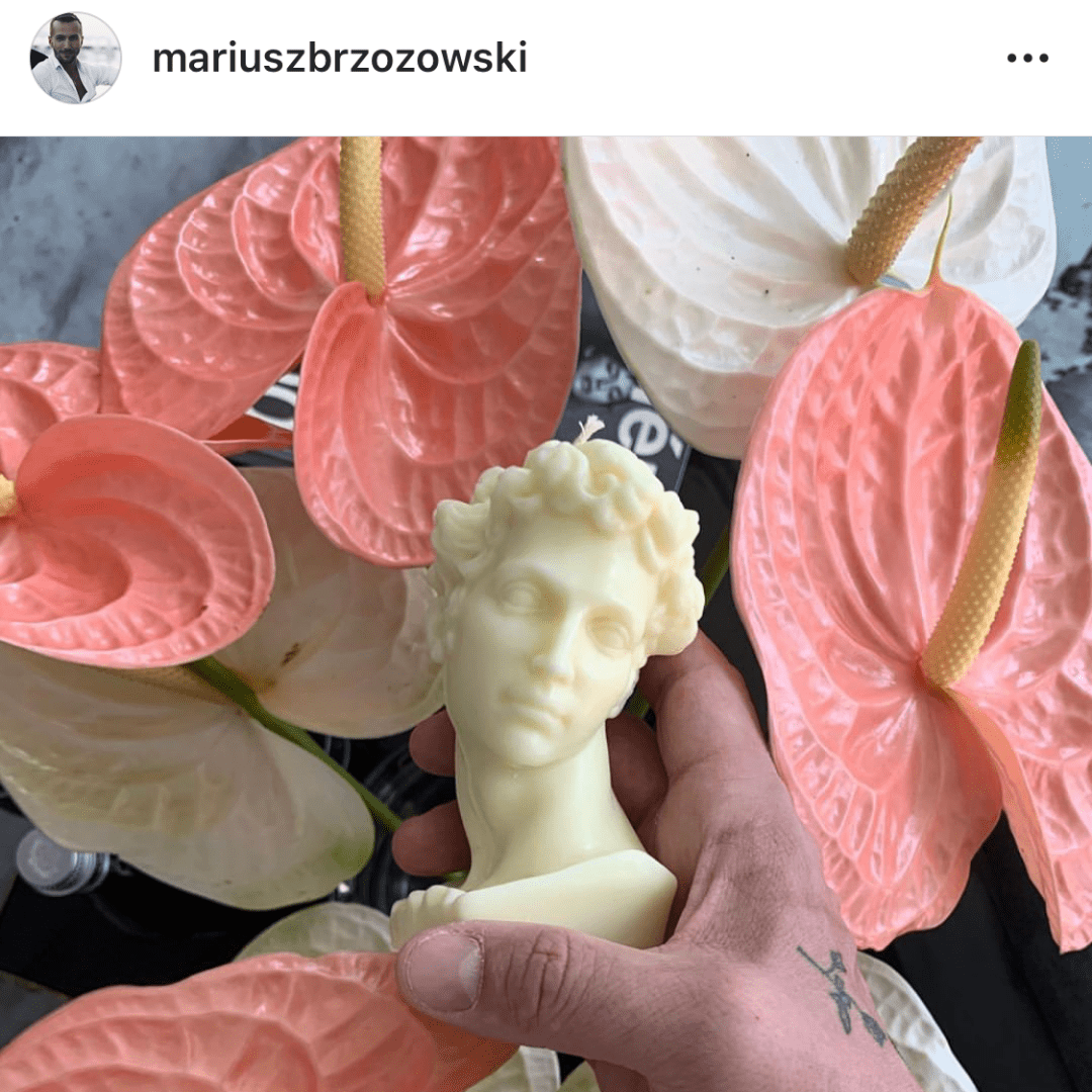 Dawid: Kość Słoniowa